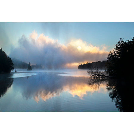 Geof Burbidge Spring/Summer Greeting Cards