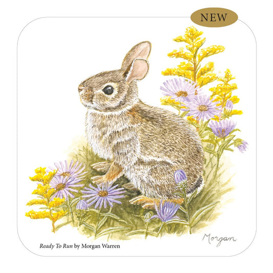 Ready to Run Small Tin
