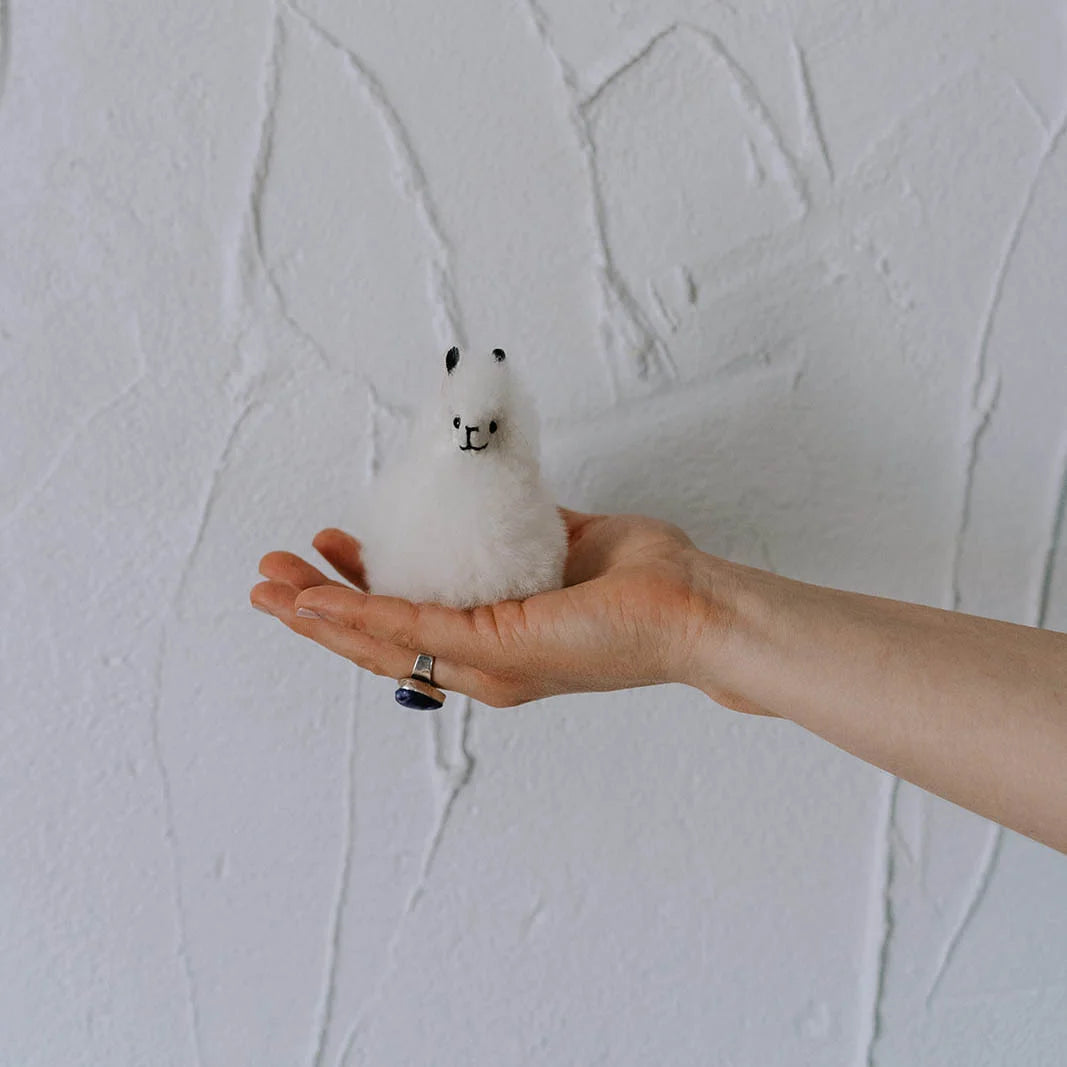 x-small alpaca