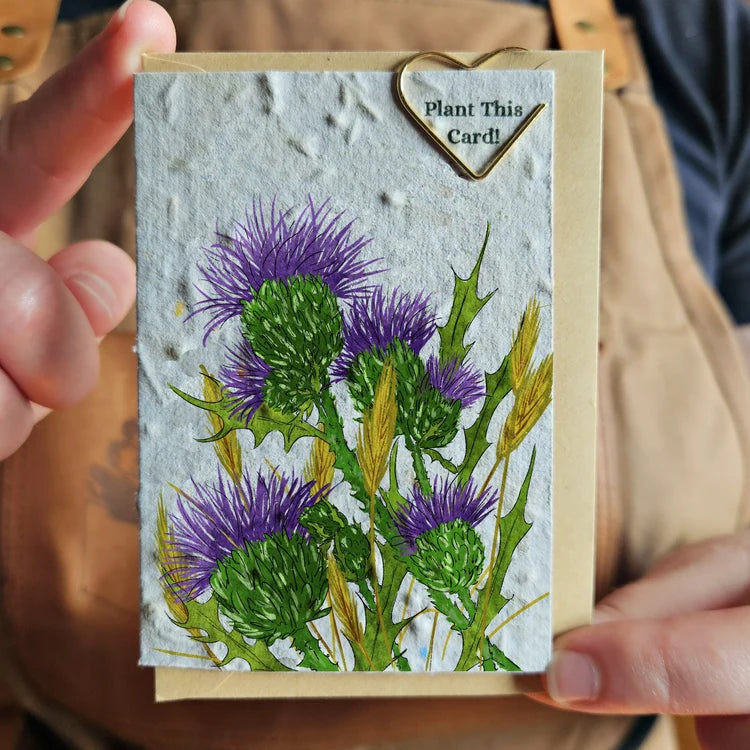 Seeded Paper Mini Greeting Card Thistle