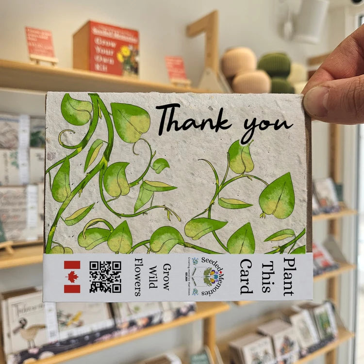 Seeded Paper Greeting Card Thank You Vines