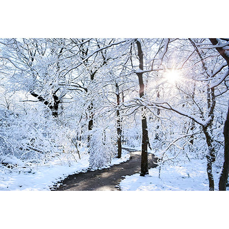 Geof Burbidge Winter Greeting Cards