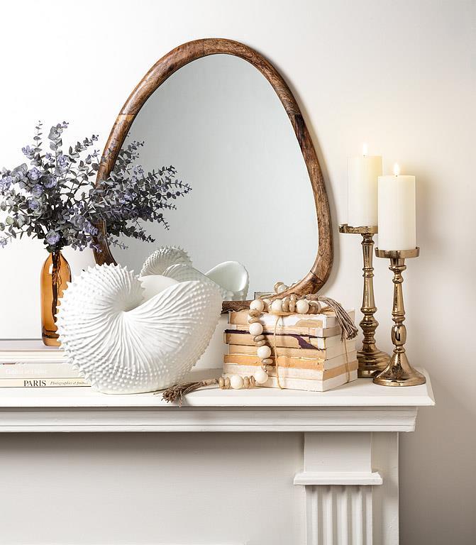 Jumbo Nautilus Shell Holder