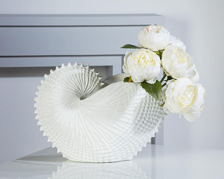 Jumbo Nautilus Shell Holder