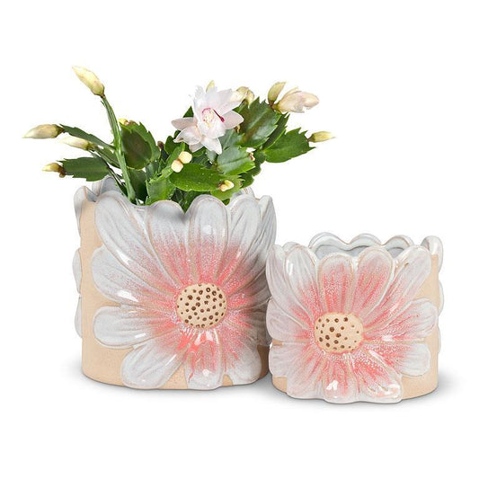 Pink Daisy Planter