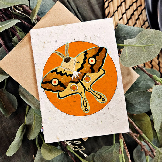 Seeded Paper Greeting Card - The Moth and the Sun