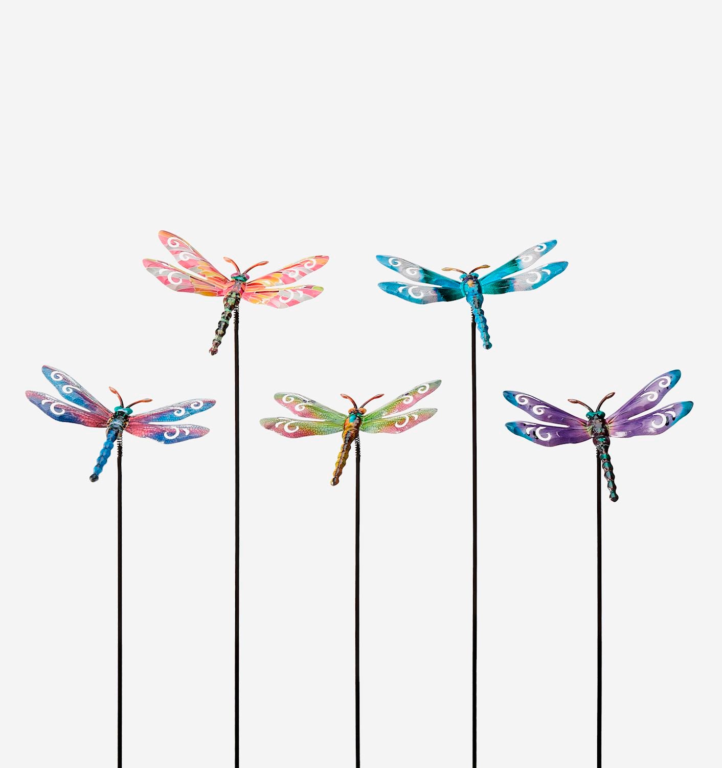 Bobble Dragonfly Plant Stake