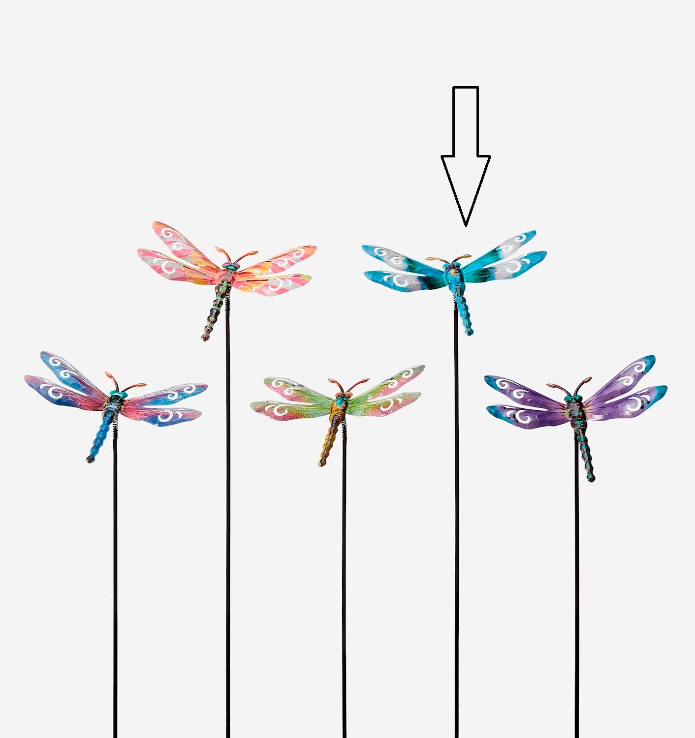 Bobble Dragonfly Plant Stake