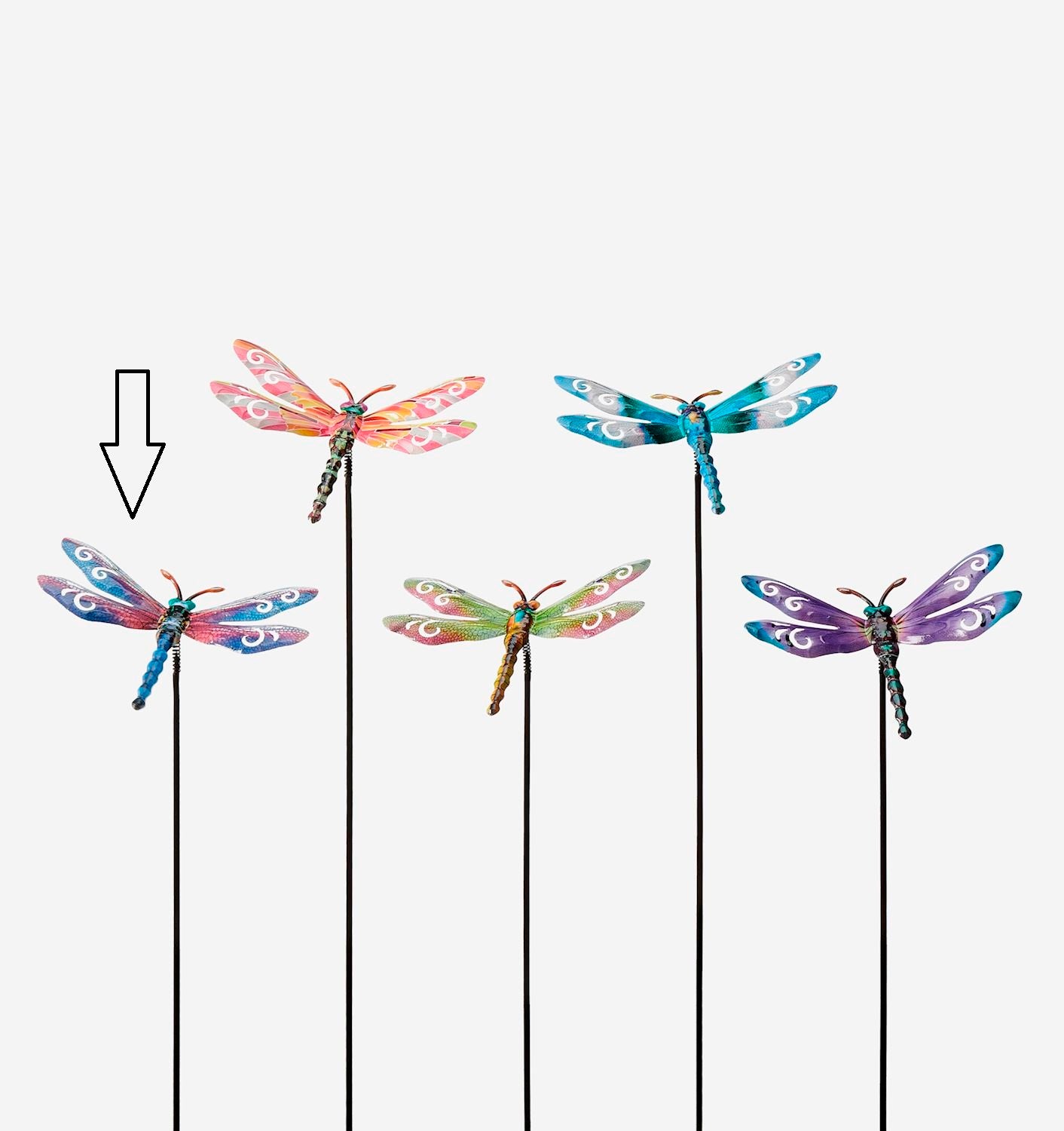 Bobble Dragonfly Plant Stake