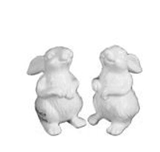 Bunny Salt & Pepper Set