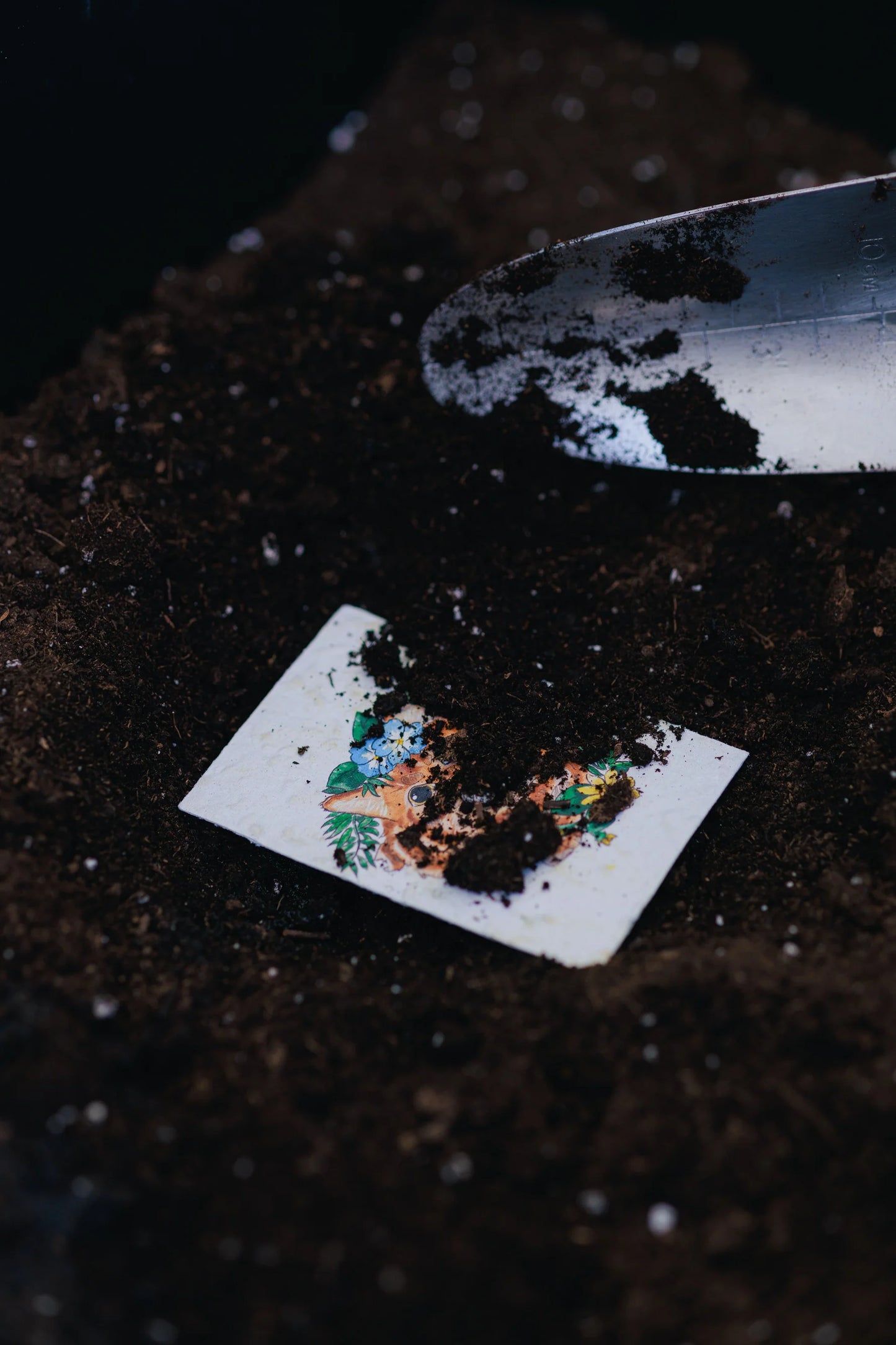 Seeded Paper Mini Card - Esenburg Tulip