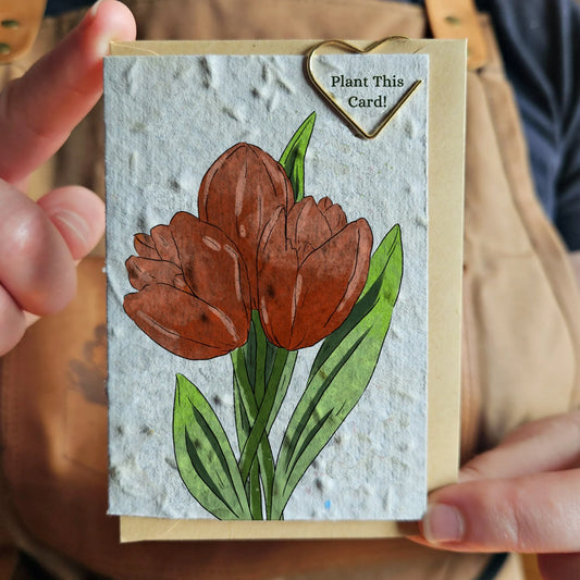 Seeded Paper Mini Card - Esenburg Tulip
