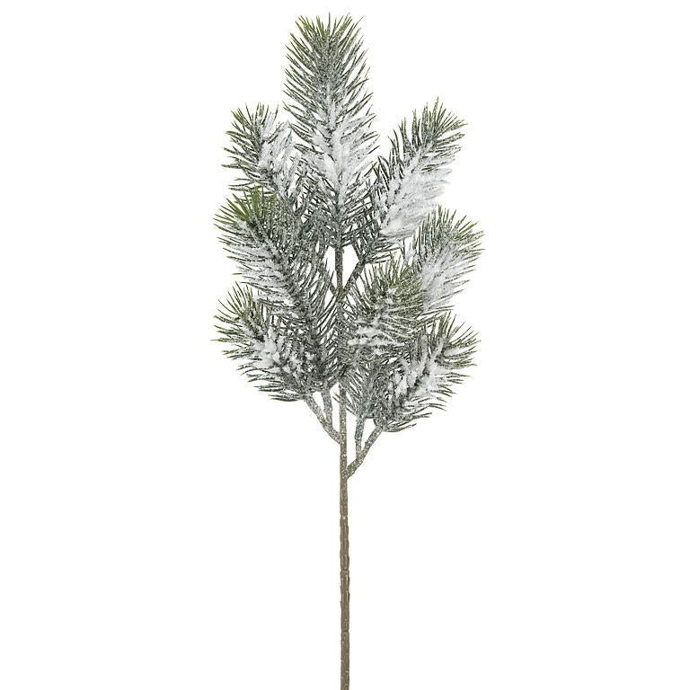 Fluffy Pine Branch