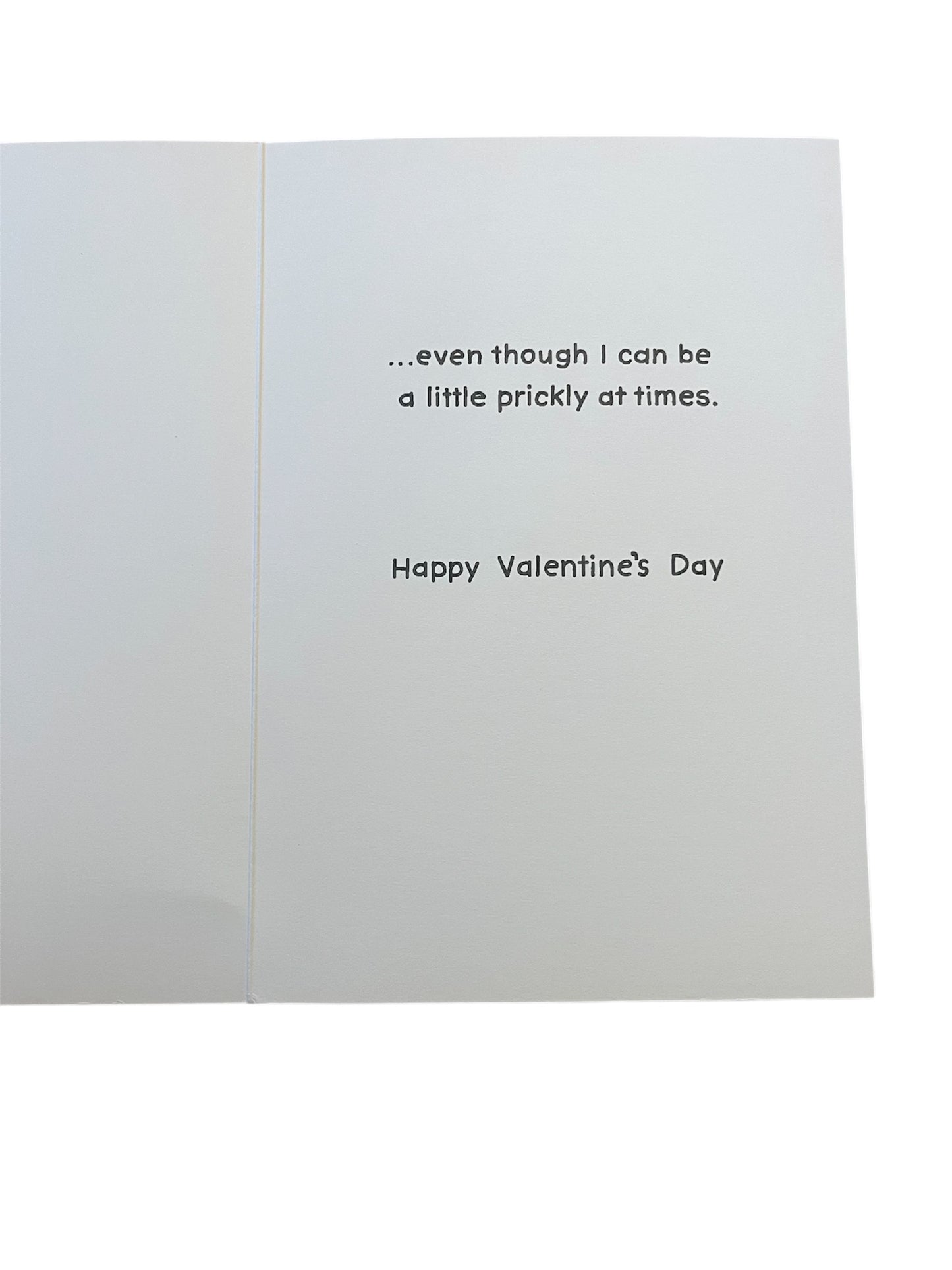 Loving Me Porcupines Valentine's Greeting Card