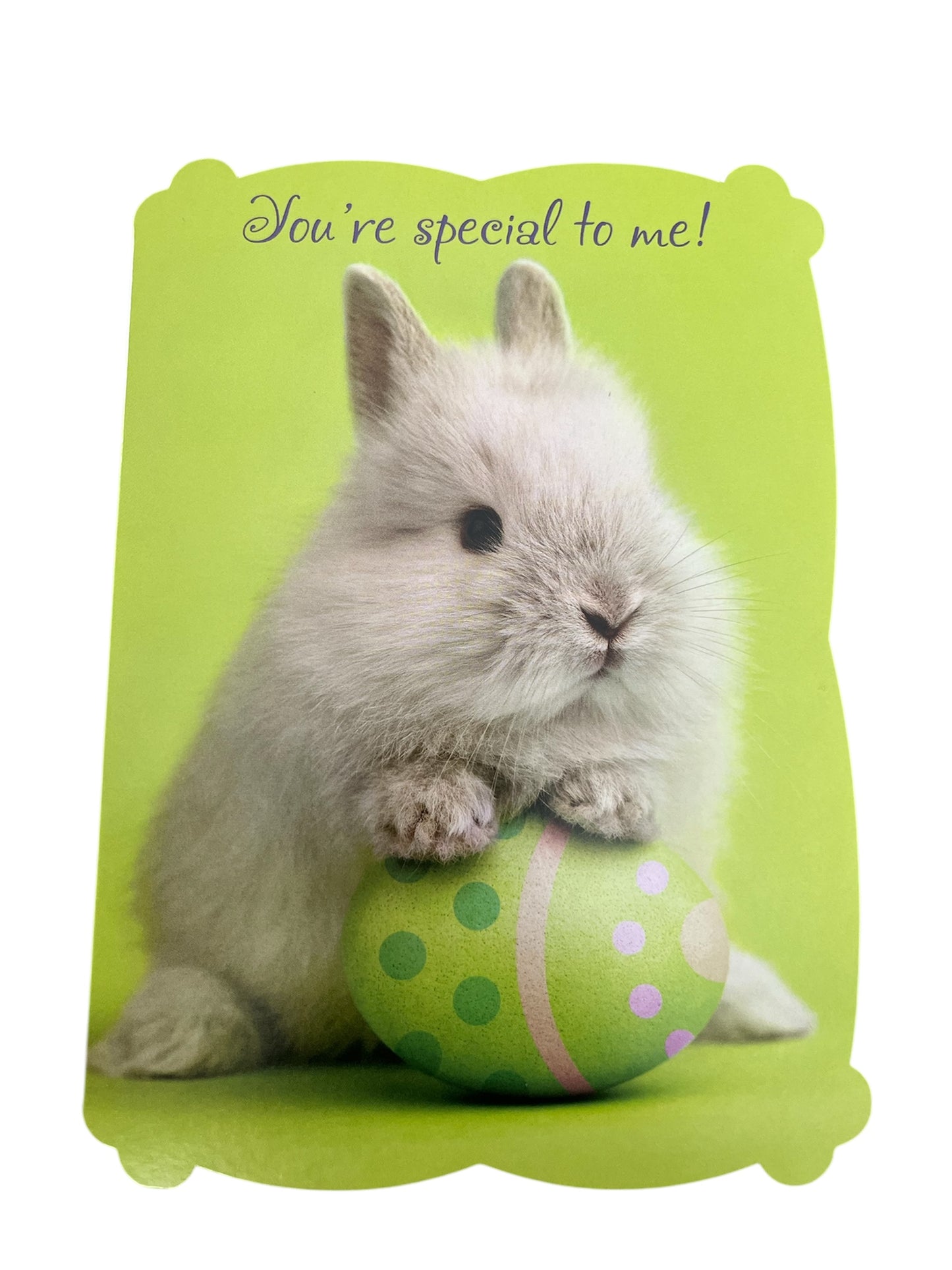 Warm Fuzzy Bunny Easter Card