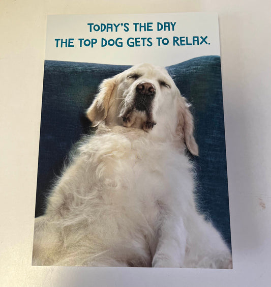 Dad Dog Napping - Father's Day Card