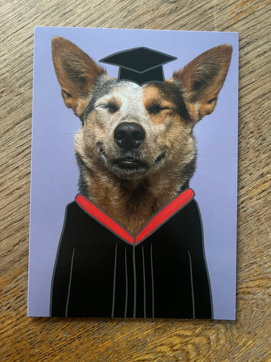 Dog in Cap & Gown Graduation Card