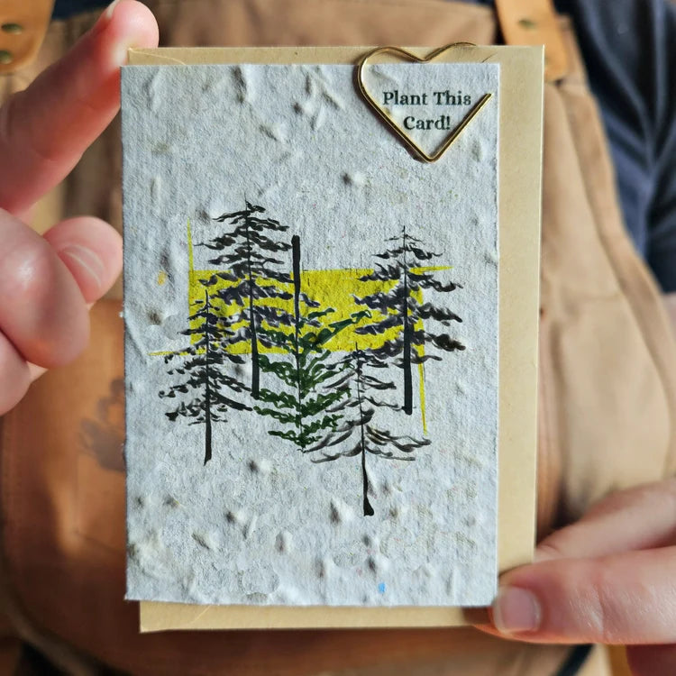 Seeded Paper Mini Greeting Card Pine Trees
