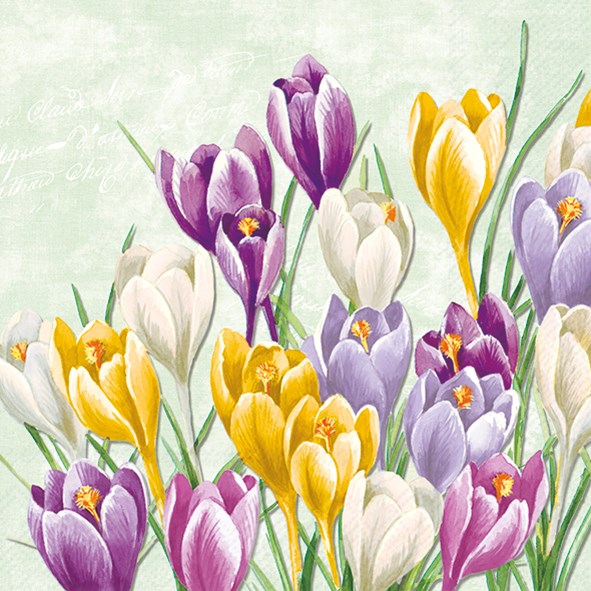 Spring/Summer Cocktail Napkins