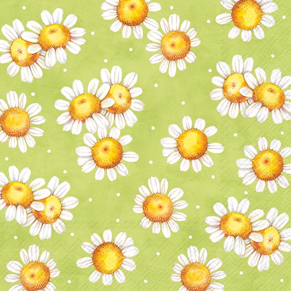 Spring/Summer Luncheon Napkins