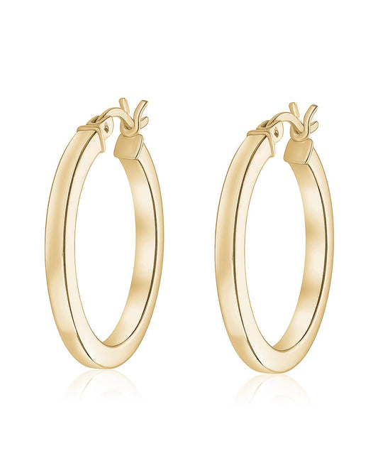 Small Gold Plated Hoop Earrings