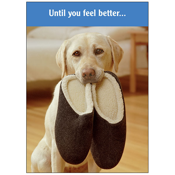 Fetching Dog - Get Well Card