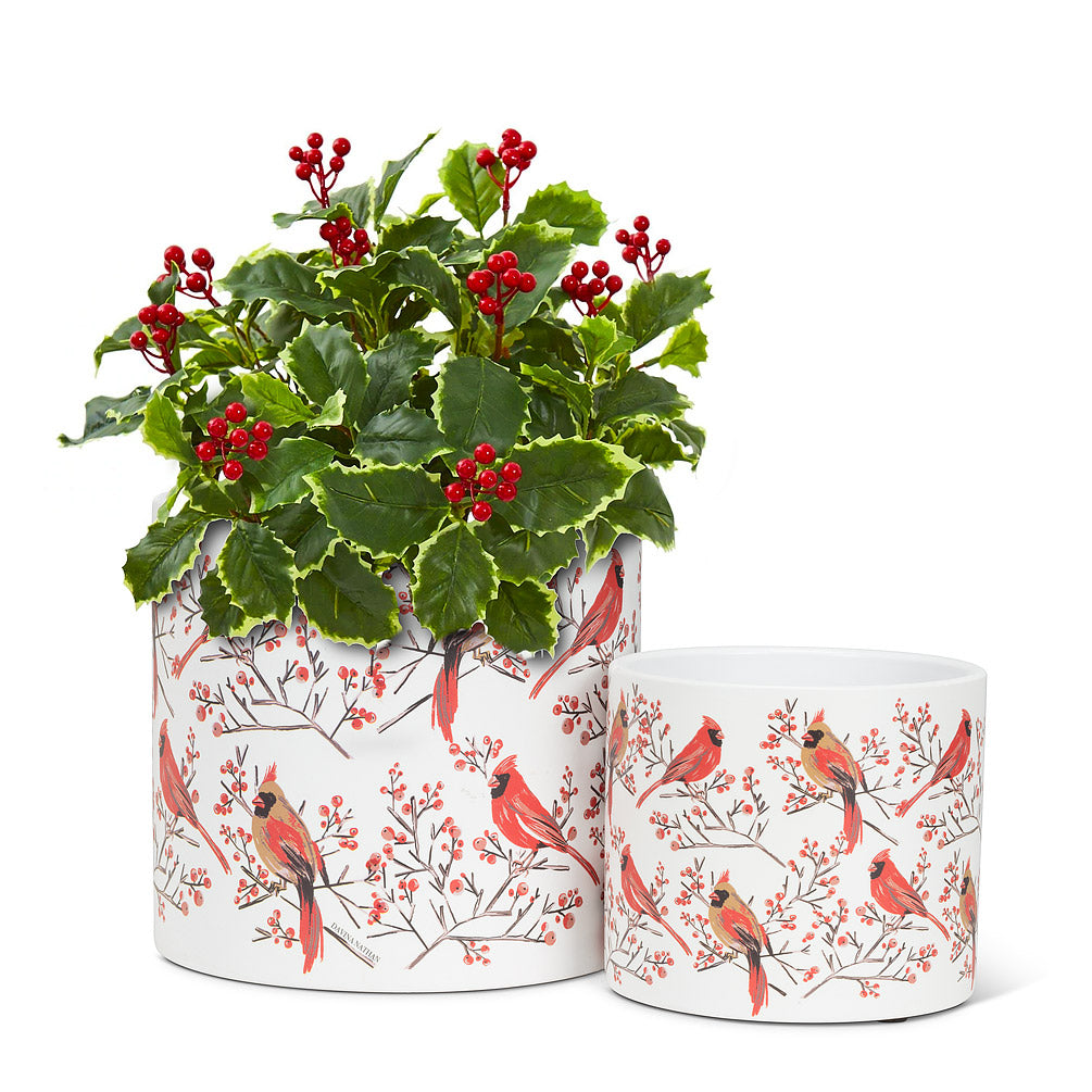 Large Cardinal Pair Planter