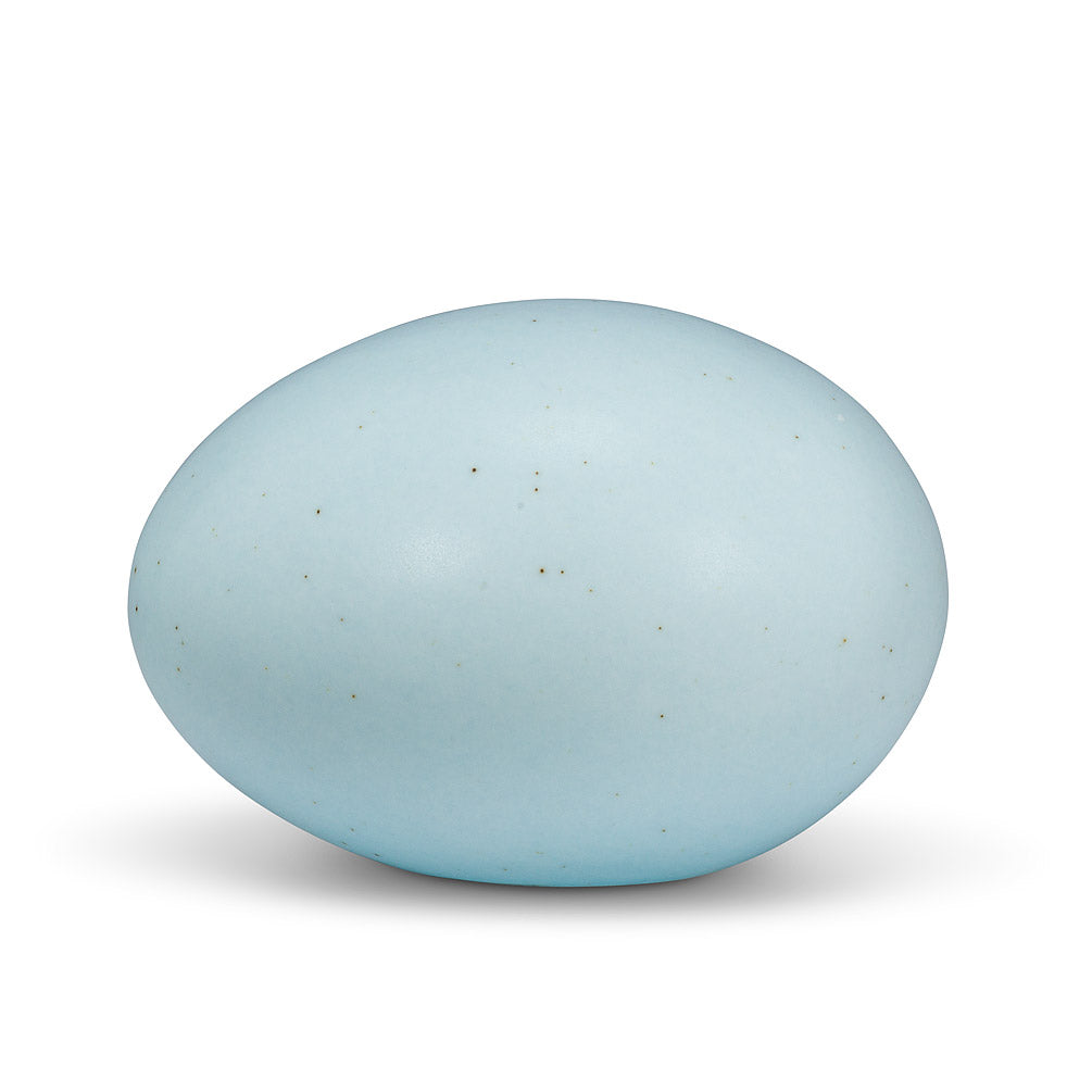 Laying Down Egg Light Blue