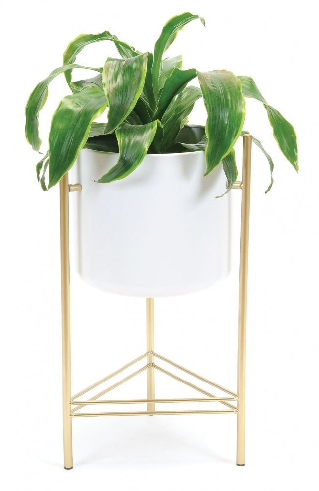 Modern Planter with Gold Stand