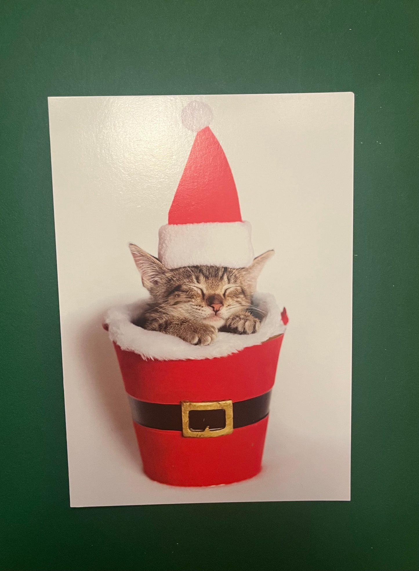 Sleeping Santa Kitty  Holiday Greeting Card