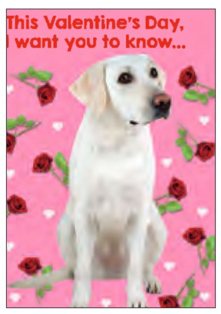 Labradorable Valentine's Greeting Card