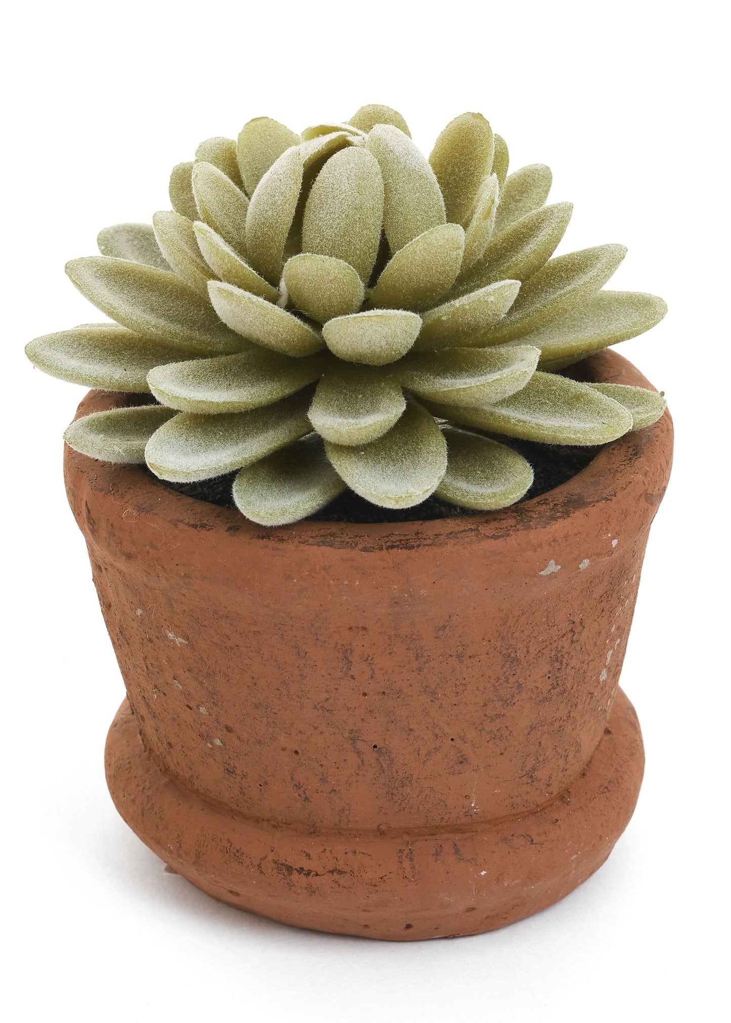 Succulent Potted Plant Artificial