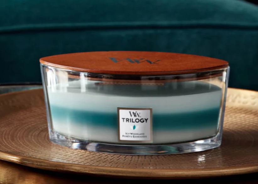 Woodwick Icy Woodland Ellipse Candle